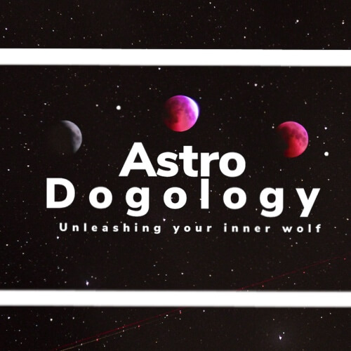 Astrodogology